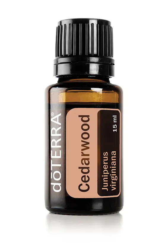 Cedarwood Oil 15mL (Juniperus virginiana)